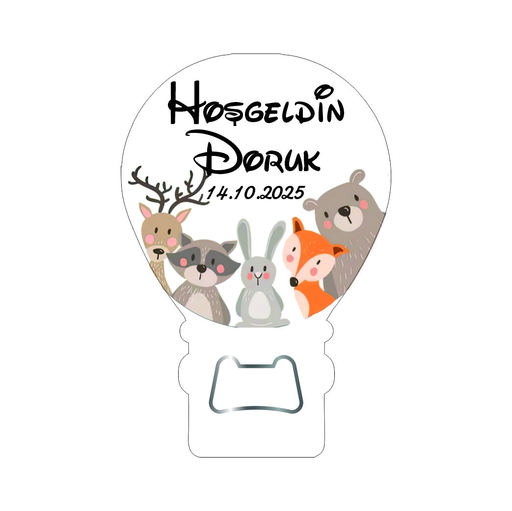 Kış hayvalı balon acacak